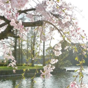 ˚✧Caelivyn˳✧༚ Discord server icon