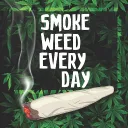 Toke Zone