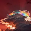 PSYCHO(sis) SQUAD discord icon