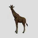 3NT3R IS A HORSE