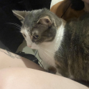 🌸Aliya's Paradise🌸