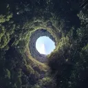 Down the Rabbit Hole || DSMP in wonderland au