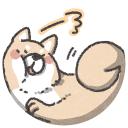 隠れみの