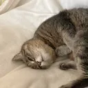 圭のサーバー