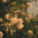 [ 🌻 ] Vibrant Void Discord server icon