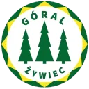 Góral Żywiec | Projekt Ultras 3.0