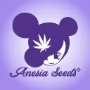 Server of Anesia Seeds®