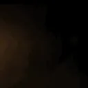 SF Leaks