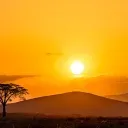 Among Th/e Plains........