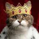 Kasti Kingdom