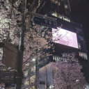 ୨୧   dripping hearts     ̈ ntox Discord server icon