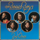 The Bitch Boys  🏄 Discord server icon