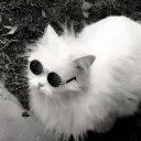 Stranger danger Discord server icon