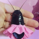 Sandbox hell Discord server icon