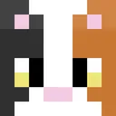 Miaou333's discord server
