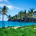 𝟚𝟛𝟡 Discord Server Icon