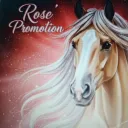 🌹 𝗥𝗼𝘀𝗲́ 𝗣𝗿𝗼𝗺𝗼𝘁𝗶𝗼𝗻