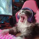 🎮The Gamer-Comunidade Dos Gamers🎮