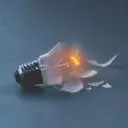 lisaa Discord Server Icon