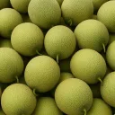 🍈𝑴𝒆𝒍𝒐𝒏𝐬𝐞𝐫𝐯𝐞𝐫🍈