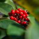 写真研究センター（徹底的に議論・交流） Discord server icon