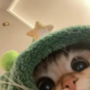 Whiskersツ