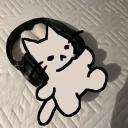 /music lovers .ᐟ ☁