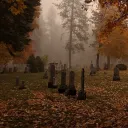 The Whispering Woods