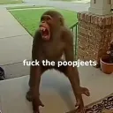 FUCK POOPJEETS