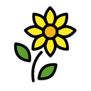 Server Icon