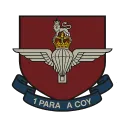 1PARA, A Company
