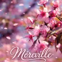 🌸Moréville🌸