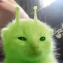 🛸 Alien Cat - Support