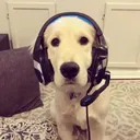 Proto's hangout