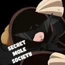 SECRET MOLE SOCIETY