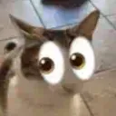 CozyNeko Isekai Discord server icon