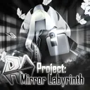 Project: Mirror Labyrinth
