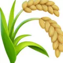 Server icon
