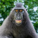 isaiasfx7 STORE🛒 discord icon