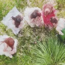 ⃕　　　✿　 reve　 🌸　　 ٭*ᵎ