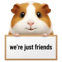 The Friend's Zone