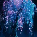 The Crystal Waves