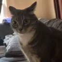 buggys epic spot