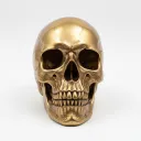 SKULLED_CLOTHINGS