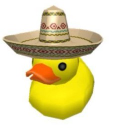 Pato Playa