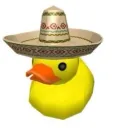 Pato Playa
