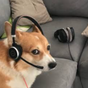 Commit & Chill Discord server icon