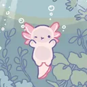 Hitomi's Coral Haven