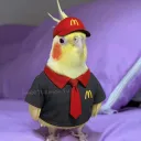 ww7
