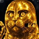 Server Icon